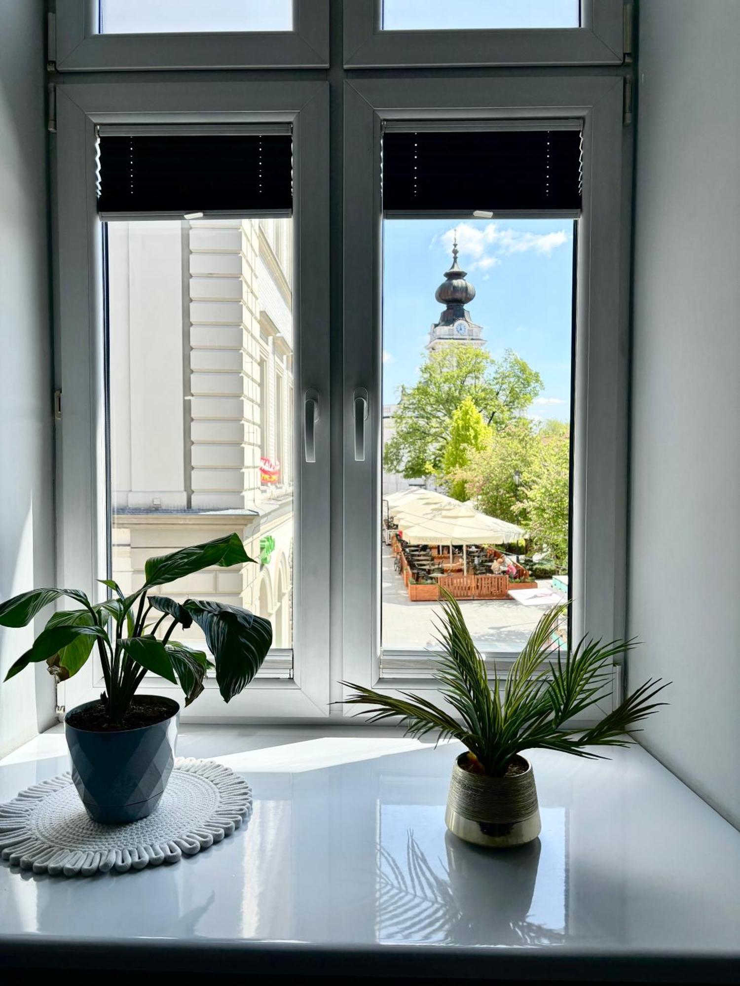 Apartment Papieski *